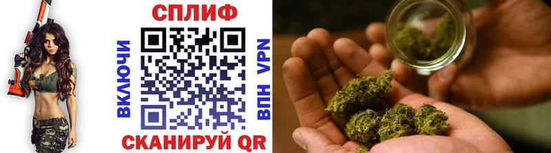 Продажа наркотиков Дорогобуж ГАШИШ  Кокаин  Меф 
