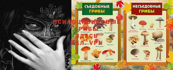 MESCALINE Аркадак