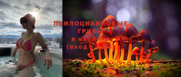 мескалин Арсеньев