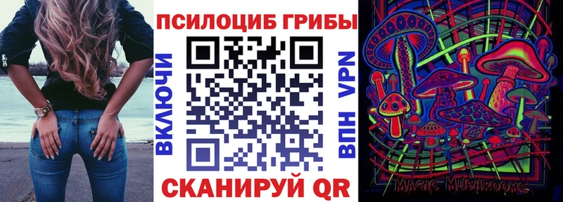 omg вход  цена наркотик  Дорогобуж  Галлюциногенные грибы MAGIC MUSHROOMS 